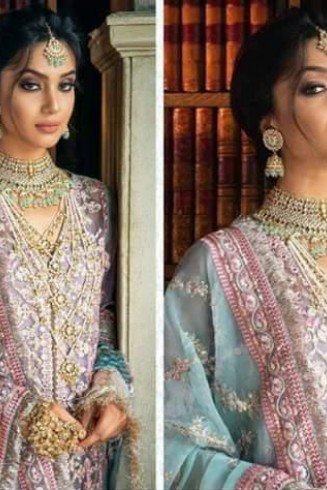 Heavy Embroidered Organza Pakistani Suits