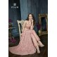 Pink Indian Net Gown Wedding Anarkali Suit